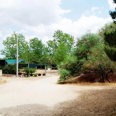 Holiday home Casa Vacanza Sulla Spiaggia Di Gallipoli